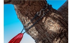 Amazonas Hammock 'Travel Set'