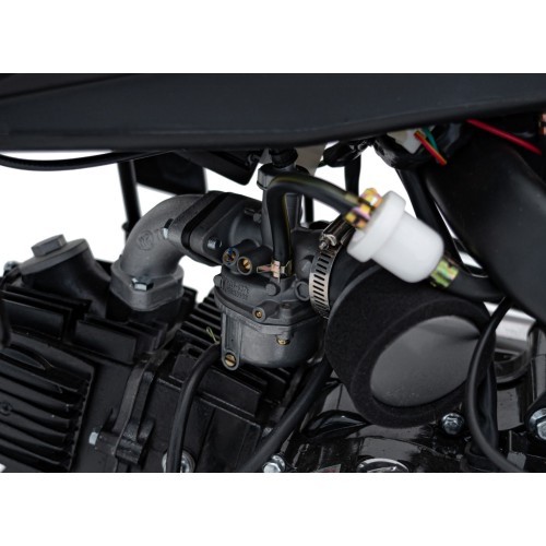 Vehicle Internal Combustion Engine 110CM IMMORTAL Orange