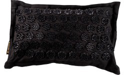 Acupressure Mat and Pillow inSPORTline EcoSpike - Black-Gold