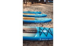 Spinner Lets Paddle 10.10 - 330x82x15cm