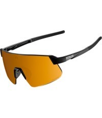 Sports Sunglasses Altalist Hayate R2 - černá se zlatými skly