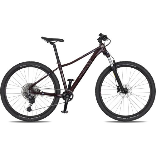 Women’s Mountain Bike 4EVER Frontbee Lady 27.5” – 2026 - Dark wine/silver