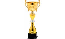 Trophy 9113 2023 - 40cm - Gold