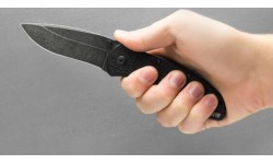 Nazis Kershaw Blur 1670BW