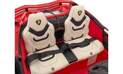 Lamborghini SIAN vehicle Red