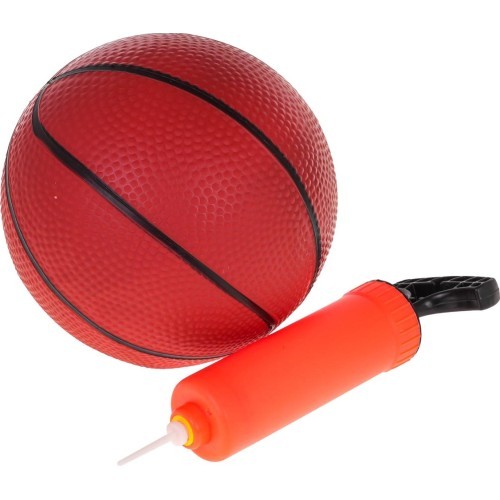 Basketball + Accessories