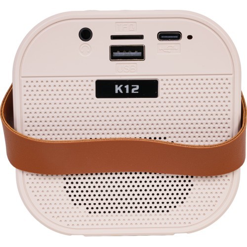 Karaoke Microphone and Speaker Set