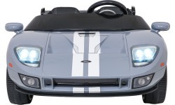 Vehicle Ford GT Gray