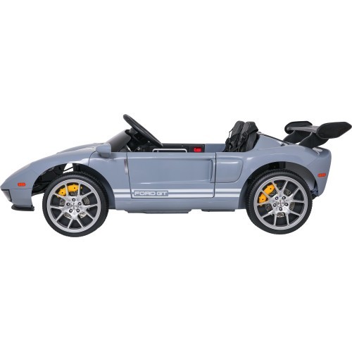 Vehicle Ford GT Gray