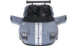 Vehicle Ford GT Gray