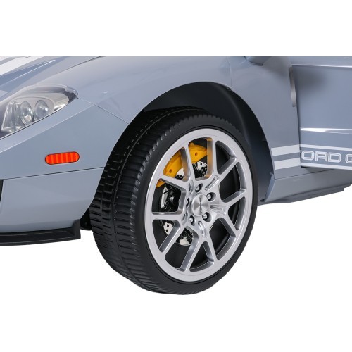 Vehicle Ford GT Gray
