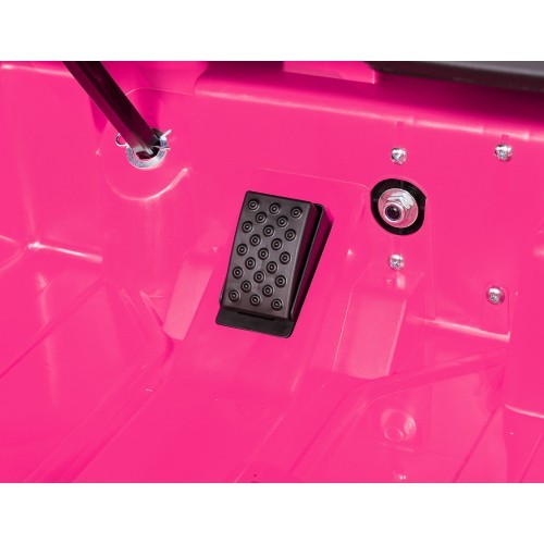 Ford GT Pink Vehicle