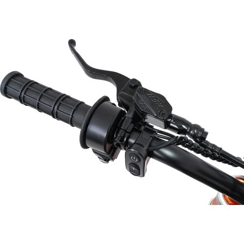 Electric Motor Vehicle E-RIDER X Black