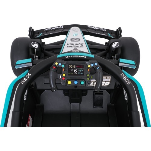 Vehicle AMG PETRONAS F1 Black Racing Car