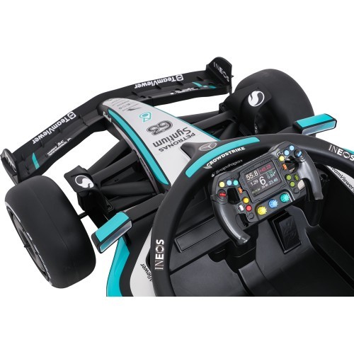 Vehicle AMG PETRONAS F1 Black Racing Car