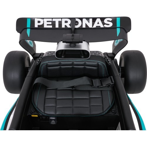 Vehicle AMG PETRONAS F1 Black Racing Car
