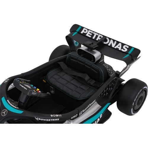 Vehicle AMG PETRONAS F1 Black Racing Car