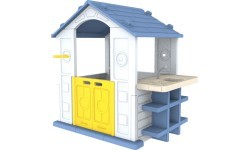 House With Basketball And Sink Blue Roof