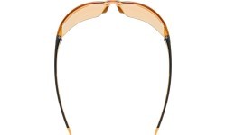 Uvex Equate brilles, smoke-orange / orange