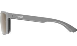 Очки Uvex Rookie Grey Matt / Mirror Blue