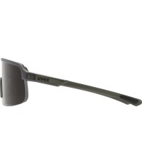 Brilles Uvex Dirt smoke matt / smoke