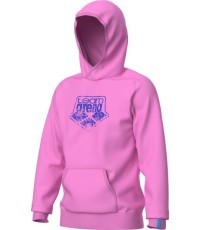 Толстовка с капюшоном Arena Logo, цвет орхидея, 3XL - 900