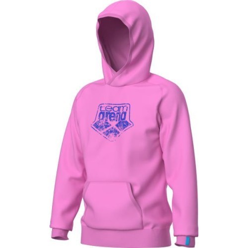 Hooded Sweat Arena Logo Orchid 3XL - 900