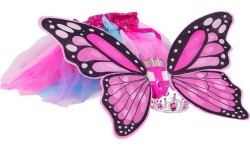 Butterfly Wings Set + Rainbow Dress