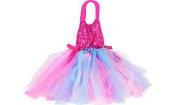Butterfly Wings Set + Rainbow Dress