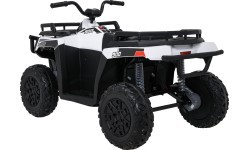 Электроквадроцикл WOLF 4x4 ATV Quad белый