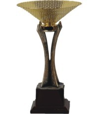 TRB007 Trophy - 26cm - Gold
