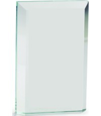 Стеклянная награда Z2342 - 12cm