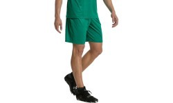 Puma Liga Core football shorts, Pepper Green