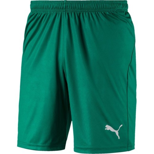 Футбольные шорты Puma Liga Core, Pepper Green