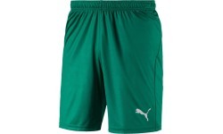 Футбольные шорты Puma Liga Core, Pepper Green