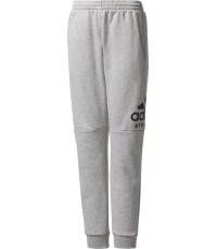 Adidas pusaudžu bikses YB SID Pants Grey CF2457