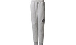 Подростковые брюки Adidas YB SID Pants Grey CF2457