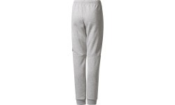 Adidas pusaudžu bikses YB SID Pants Grey CF2457