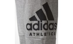 Adidas Junior Pants YB SID Grey CF2457