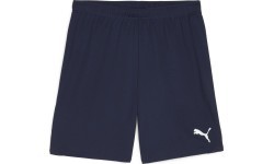 Puma TeamGoal Men's Shorts Navy 705752 06