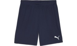 Puma TeamGoal Men's Shorts Navy 705752 06