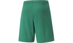 Puma Teamrise vīriešu šorti zaļi 704942 05