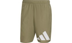 Adidas мужские шорты для плавания 30Y Bos CLX CL Green HA0395