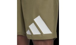 Adidas peldšorti vīriešiem 30Y Bos CLX CL Green HA0395