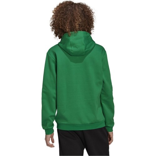 Мужская толстовка Adidas Ent22 Hoody, зелёная HI2141