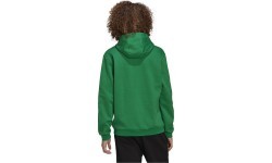 Adidas Ent22 Hoody vīriešu džemperis, zaļš HI2141