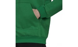 Adidas Ent22 Hoody vīriešu džemperis, zaļš HI2141