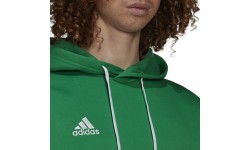 Мужская толстовка Adidas Ent22 Hoody, зелёная HI2141