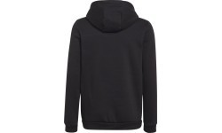 Adidas džemperis zēniem Ent22 Hoody Y Black H57516