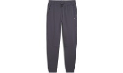 Puma Rad/Cal sporta bikses vīriešiem Galactic Gray 681621 69